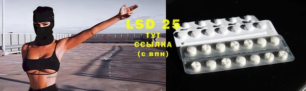 ECSTASY Белокуриха